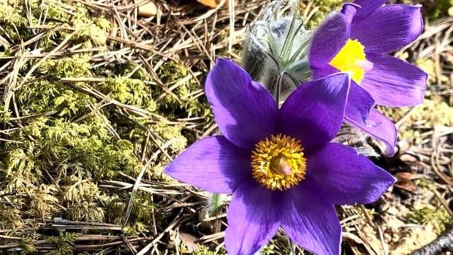 Слайд санатория «Вяжути» 9